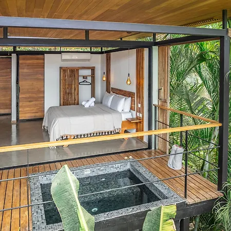 The Green House, Santa Teresa - Adults Only-3